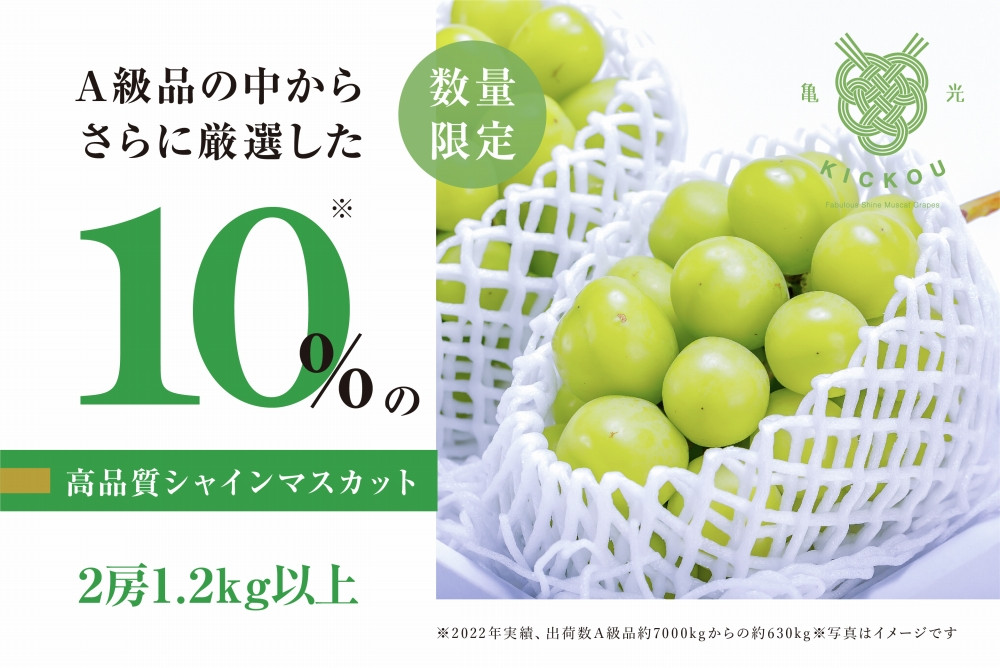 
            【数量限定】粒が詰まった高級シャインマスカット「亀光」2房1.2kg以上【2025年発送】（RO）C-136 【亀光 シャインマスカット 葡萄 ぶどう ブドウ 令和7年発送 期間限定 山梨県産 甲州市 フルーツ 果物】
          