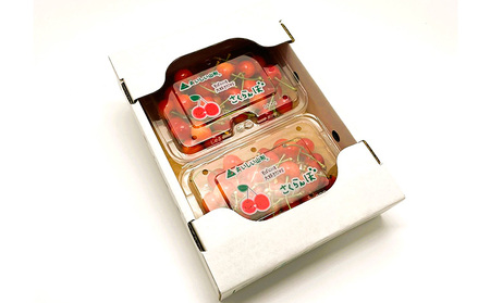 【定期便4回】イチオシフルーツ！やまがた宝箱A　(2024年～2025年お届け)  FZ23-675