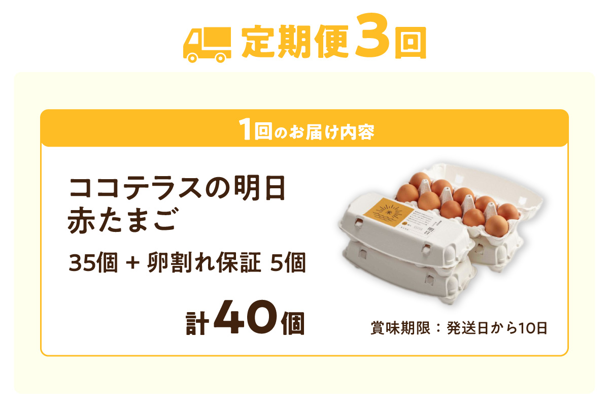 【3ヵ月定期便】ココテラスの明日（赤たまご）35個 + 5個保証（計40個）【JGAP認証】