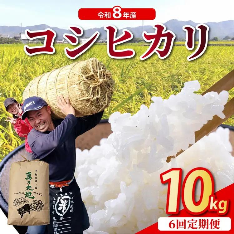 【6回定期便】令和8年産 コシヒカリ 10kg 定期便 精米 白米