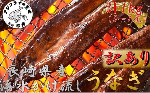 
            訳あり大容量！海水かけ流しうなぎ5尾～7尾【F0-016】( うなぎ蒲焼 うなぎ 国産 鰻 ウナギ 逸品 海水 かけ流し ミネラルが豊富 臭みがない 訳あり 土用の丑の日 うな重 ひつまぶし タレ 長崎県産 かばやき 冷凍 大容量 青うなぎ 贅沢 スタミナ 夏バテ 人気 大人気 おすすめ 美味しい おいしい グルメ 蒲焼 かば焼き 生産者直送 )【F0-016】
          