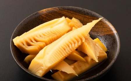 【生産者直送】春の恵み たけのこ 約4kg 以上 (2~5本) 【2026年4月上旬発送開始】 やさい 野菜 竹の子 筍 タケノコ 熊本県産