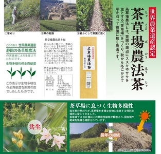 訳あり 静岡県産 深蒸し煎茶 200g 5袋 1kg