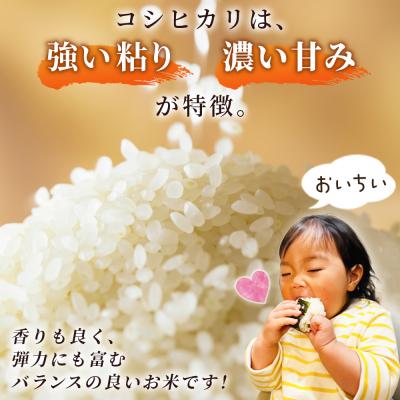 ふるさと納税 西予市 新米 <令和8年産 コシヒカリ 約10kg 6回定期便 精米 楠さんの一等米相当 みかん |  | 02