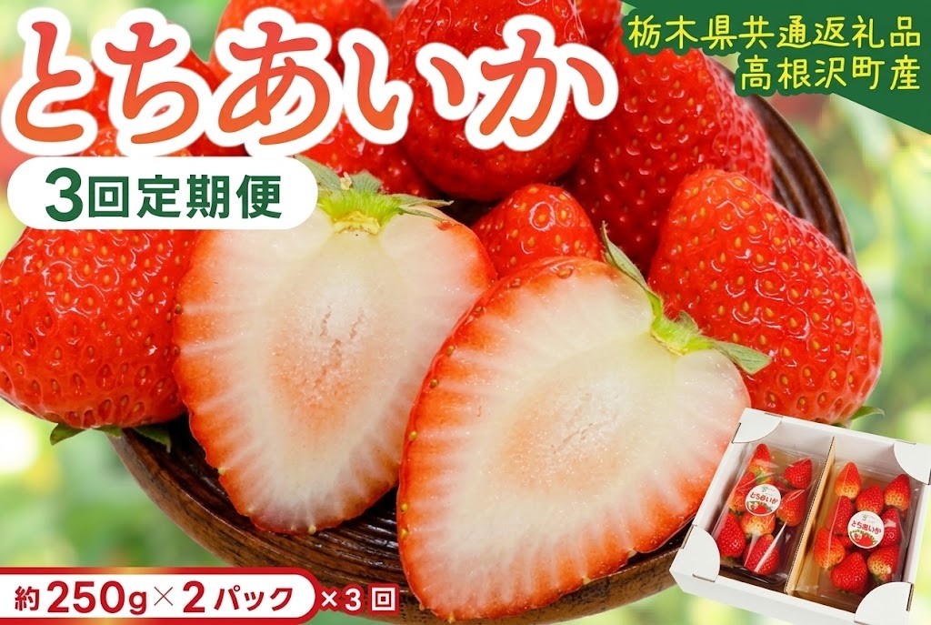 
                  【先行予約】【3回定期便】栃木県産 とちあいか 合計1500g (250g×2パック✕3回) 農家直送 家庭用 和饗エコファーム【栃木県共通返礼品/高根沢町産】｜定期便 栃木県 ふるさと納税 いちご イチゴ 苺 旬 果物 フルーツ とちあいか(DW004)
                