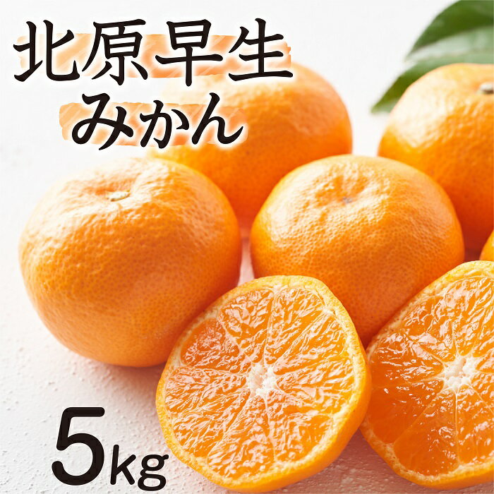 【ふるさと納税】【予約受付・期間限定商品】北原早生みかん（5kg程度）.2025年10月～11月配送.AA139