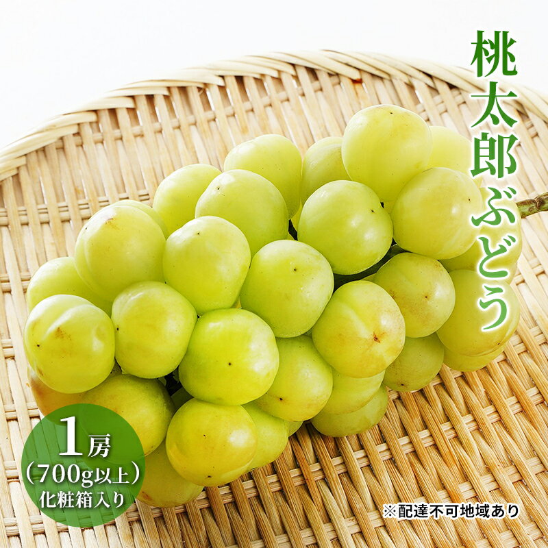 【ふるさと納税】ぶどう 2026年 先行予約 桃太郎 ぶどう 1房（700g以上）化粧箱入り ブドウ 葡萄 岡山県産 国産 フルーツ 果物 ギフト 大粒 種なし 果汁たっぷり 酸味 甘さ バランス 　お届け：2026年7月下旬～2026年9月下旬