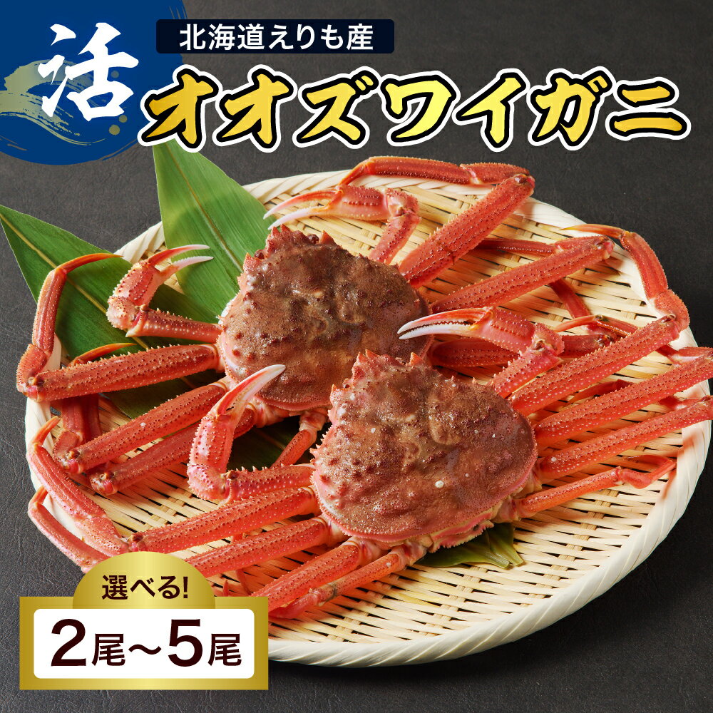 【ふるさと納税】北海道産 活 オオズワイガニ 1尾あたり 300g以上 ( 内容量が選べる / 2尾 3尾 4尾 5尾 ) 大ズワイ 大ズワイガニ ズワイガニ かに 蟹 魚介 海鮮 新鮮 生 人気 送料無料 国産 道産 北海道産 北海道 えりも産 襟裳