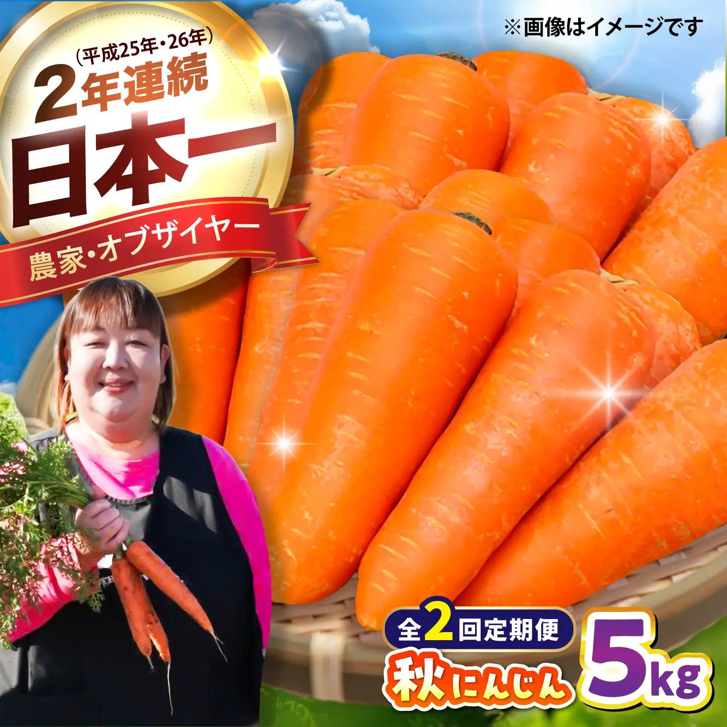 【先行予約】【2026年12月順次発送開始】【全2回定期便】秋にんじん5kg にんじん BHCW016