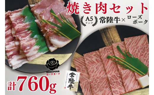 
EK-48【常陸牛A5ランク・ローズポーク焼肉セット】常陸牛カルビ360ｇ＋ローズポーク400ｇ（ロース200ｇ・ばら200ｇ）
