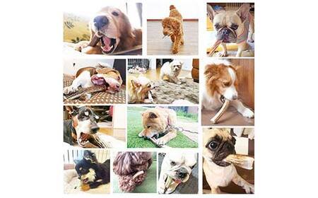 エゾ鹿の角ガム 12cm 小型犬用 2個 北海道産 国産 無添加 犬用ガム 天然鹿角 長持ち デンタルケア ペット おやつ F5F-0059