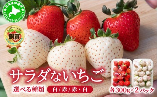 
            ＜2026年先行予約・選べる種類＞ サラダないちご（赤・白・赤白）【ecg-001-003】
          