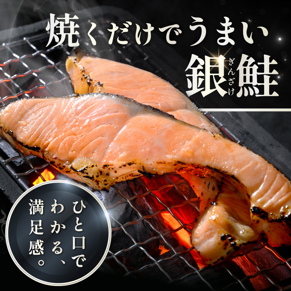 塩銀鮭切身 1.5kg 【MT000TZ00】