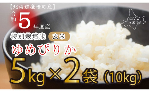 
A163 　令和５年産たかすタロファーム（ゆめぴりか玄米・10kg）
