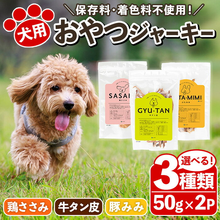 【ふるさと納税】＜選べる！＞犬用おやつジャーキー(計100g・50g×2袋) ささみ 牛タン皮 豚みみ 鶏肉 牛肉 豚肉 お肉 レトルト ペット用 国産 乾燥 細切り 小分け 着色料不使用 保存料不使用 いぬ 猫 ねこ 小型 シニア 【末永商店】