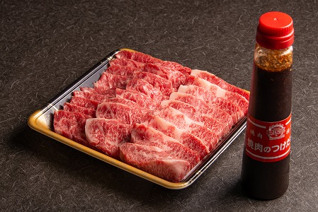 【数量限定】おおいた和牛カルビ焼き肉セット（500g）特製つけダレ付き 牛肉 和牛 豊後牛 焼肉 焼き肉セット 大分県産 中津市