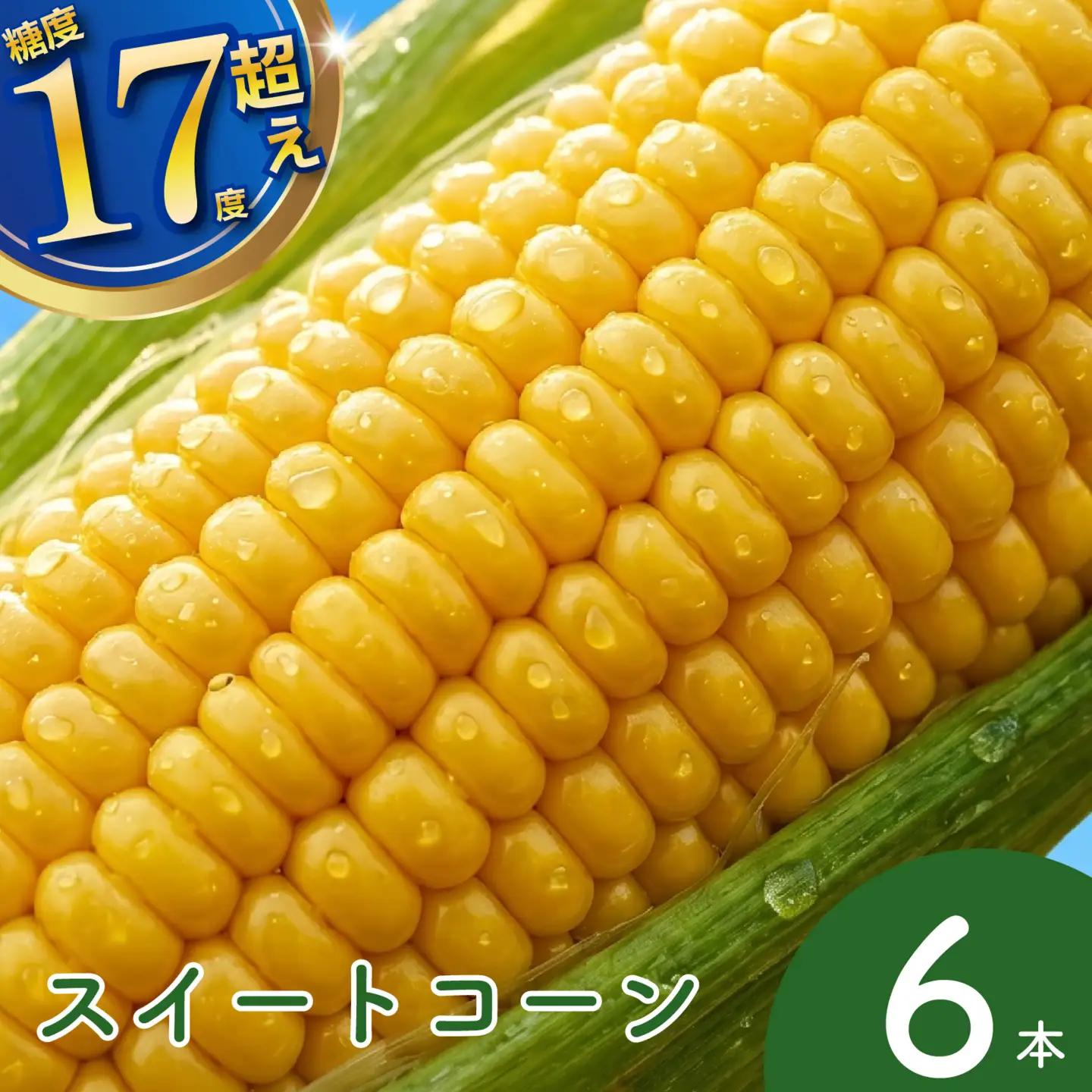 糖度15度以上 フルーツ級の甘さ とうもろこし スイートコーン 6本 有機肥料使用
