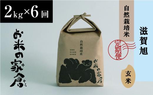 【新米：令和６年産】滋賀県　長浜市　自然栽培　在来種　しっかり粒感を味わえる”滋賀旭”　２K玄米×6