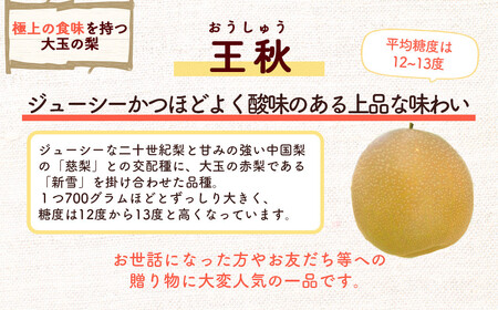 数量限定 王秋 5kg 【倉吉産】（倉吉観光梨園） 梨 ナシ なし ブランド梨 王秋 おうしゅう 鳥取 果物 フルーツ 和梨 先行予約 数量限定 詰め合わせ 人気 甘い