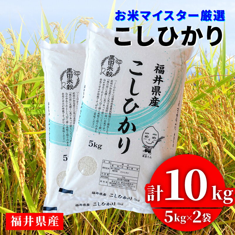 【ふるさと納税】令和8年産 新米 コシヒカリ 10kg [C-02020] / 定期便 お取り寄せ お米 精米 白米 小分け 便利 弁当 ごはん ご飯 コメ おにぎり ブランド 米 初回 送料無料 常温 配送 新生活 応援