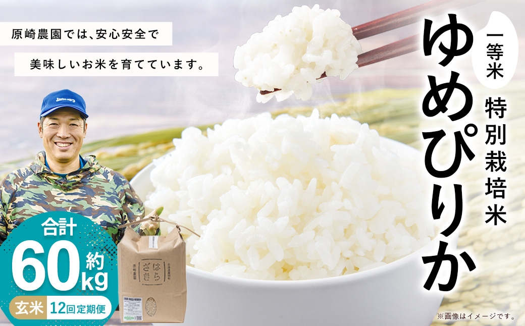 
                  F025 12ヶ月定期便 一等米・特別栽培米60kg【ゆめぴりか玄米】5kg×12ヶ月（農薬7割減）北海道 鷹栖町 原崎農園 特Aランク 特A お米 米 こめ 玄米 ブランド米 ご飯 ごはん 国産 【2026年10月下旬頃発送開始予定】
                