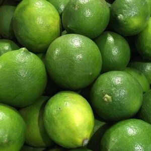 【産直】和歌山産グリーンレモン約3kg(サイズ混合)【日高町】【1217457】