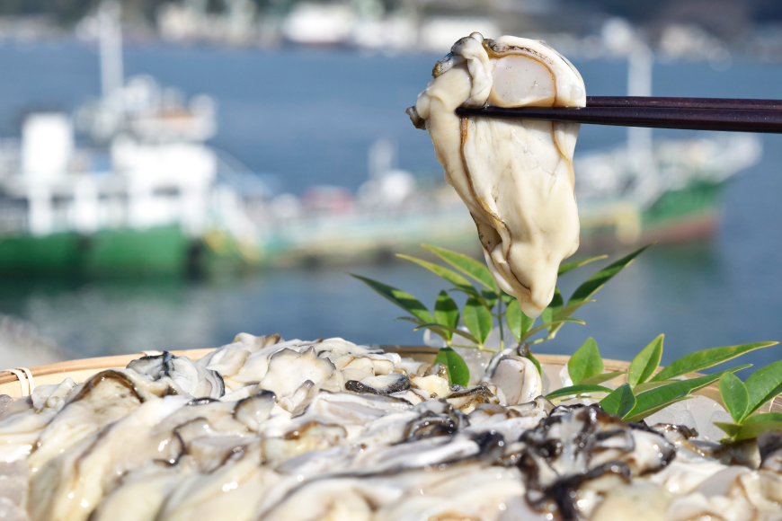 むき身 地秀かき 生食用 500g×1袋 [かみたいら 宮城県 気仙沼市 20565947] カキ 牡蠣 かき 生食 剥き身 オイスター 冷蔵