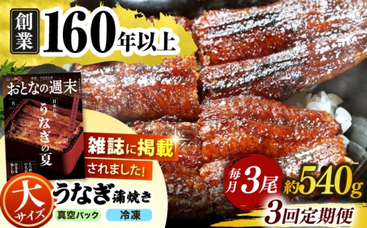 【うなぎや】 【3回定期便】 炭火焼 うなぎの蒲焼き 3尾 【紀州備長炭使用】 鰻 ウナギ 丑の日 多治見市/うなぎや [TFO010]