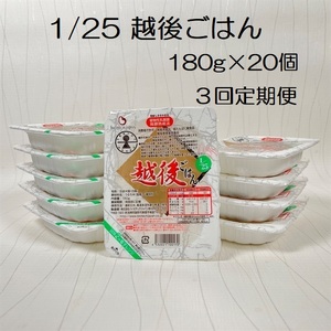 【低たんぱく質食品】【3ヶ月定期便】 1/25 越後ごはん 180g×20個×3回 たんぱく質調整食品 バイオテックジャパン 越後シリーズ 1V53060