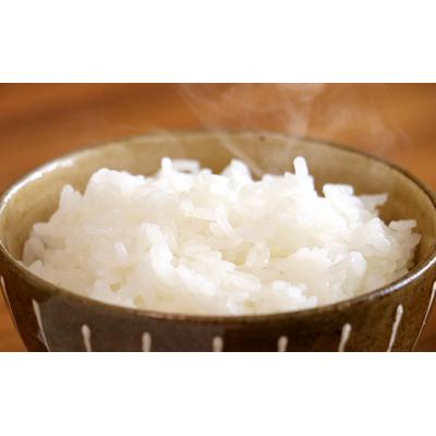 ふるさと納税 羽後町 【令和7年産米】美少女イラスト あきたこまち 10kg(5kg×2袋) [No.5325-0192] |  | 01