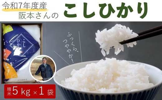 
            コシヒカリ 精米5kg 令和7年産 ｜ 久万高原町 米 新米 お米 こめ コメ 愛媛 ※2025年9月下旬頃より順次発送予定 ※離島への配送不可
          