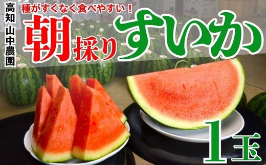 103001 山中農園のスイカ １玉 種が少ない １玉 フルーツ 産地直送 完熟 糖度 リピーター率高い 甘い 大玉 西瓜 すいか/高知県 奈半利町