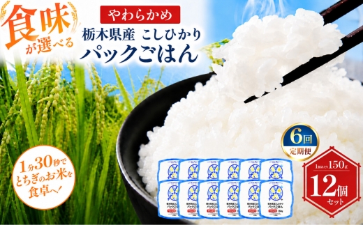 【定期便6回】栃木県産こしひかり パックごはん やわらかめ | コシヒカリ こしひかり パックごはん パックライス 非常食 国産 栃木県 真岡市