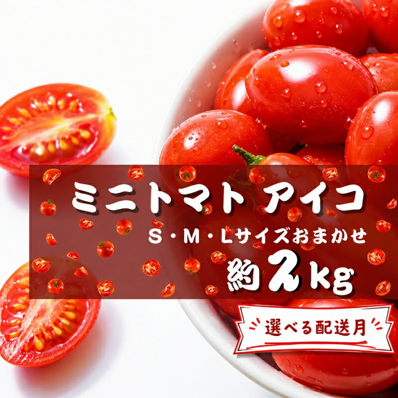 【ふるさと納税】 ミニ トマト アイコ (松トマト) 約2kg（S・M・Lサイズおまかせ） / ミニトマト 野菜 やさい 食品 ※北海道・沖縄・離島への配送不可