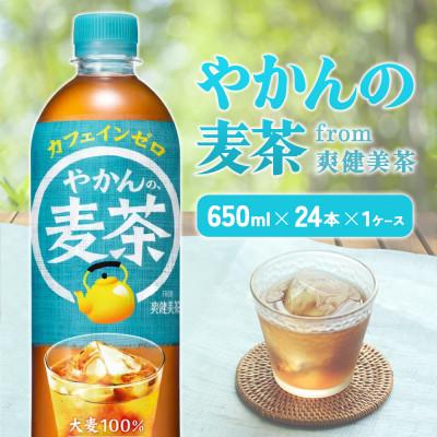 ふるさと納税 えびの市 やかんの麦茶 from 爽健美茶 PET 650ml 24本 1ケース カフェインゼロ(えびの市)