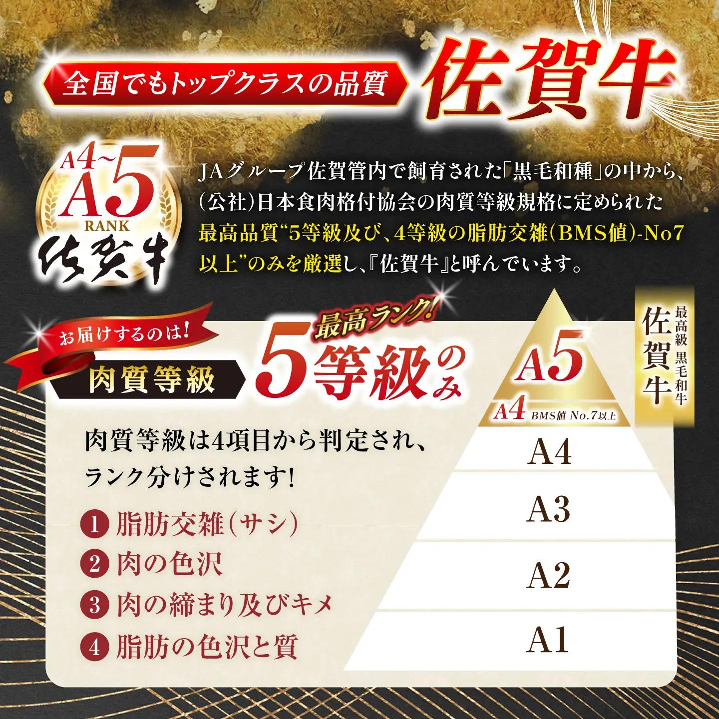 牛肉 焼肉 佐賀牛 A5 800g NAB225 焼肉