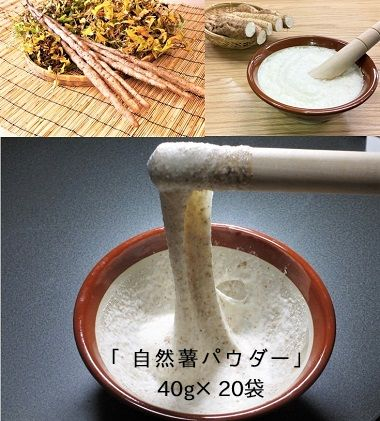 
自然薯をおろさなくていいんです！自然薯パウダー 40g×20袋 水で溶いて手軽に召し上がれるフリーズドライの粉末 [0205]
