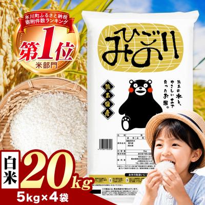 ふるさと納税 氷川町 ひごみのり 白米 熊本県産 ブレンド米 20kg《1-5日以内に出荷予定(土日祝除く)》