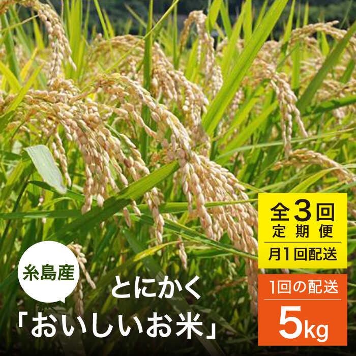【ふるさと納税】【全3回(月1)定期便】 とにかくおいしいお米 ひのひかり または にこまる 5kg 糸島市 / シーブ [AHC047] 米 定期便8万2千円82000円