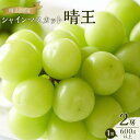 【ふるさと納税】ぶどう 2025年 先行予約 シャイン マスカット 晴王 2房（1房600g以上） ブドウ 葡萄 岡山県産 国産 フルーツ 果物 ギフト | フルーツ 果物 くだもの 食品 人気 おすすめ 送料無料