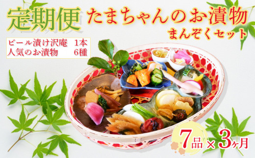 定期便 3ヶ月 野菜 漬物 詰め合わせ 季節野菜 7種 沼津まんぞく セット 小分け 旬  つけもの 漬け物 漬け もの たくあん 人気 浅漬け お醤油漬け 酢漬け ビール漬 静岡県