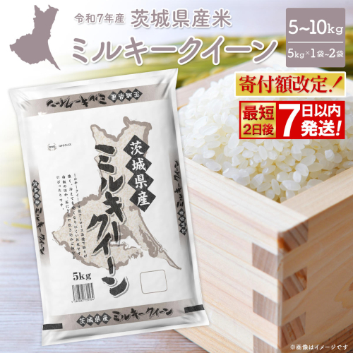 【寄付額改定】【令和7年産/白米】 ミルキークイーン 令和7年産 5kg×1袋 or 5kg×2袋 茨城県産 K2660 K2661