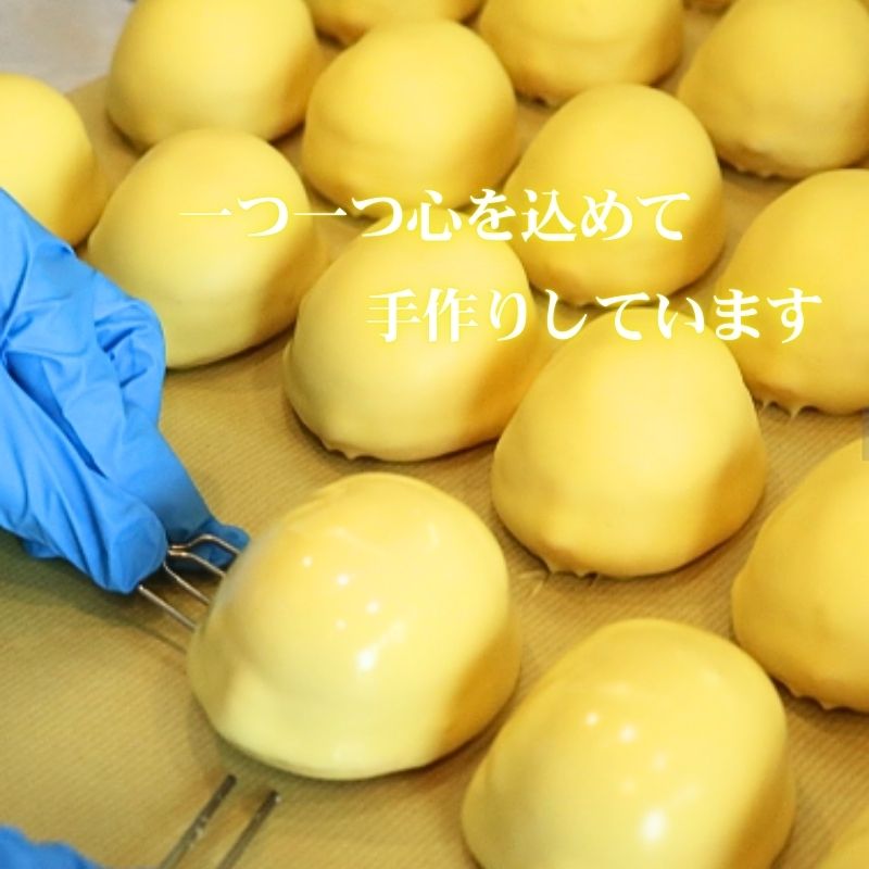 レモン美人 3個 レモンケーキ レモン 檸檬 ケーキ お菓子 焼菓子 スイーツ デザート レモンチョコ チョコ チョコレート ギフト プチギフト プレゼント お試し お土産 結城堂 新潟県 新発田市 