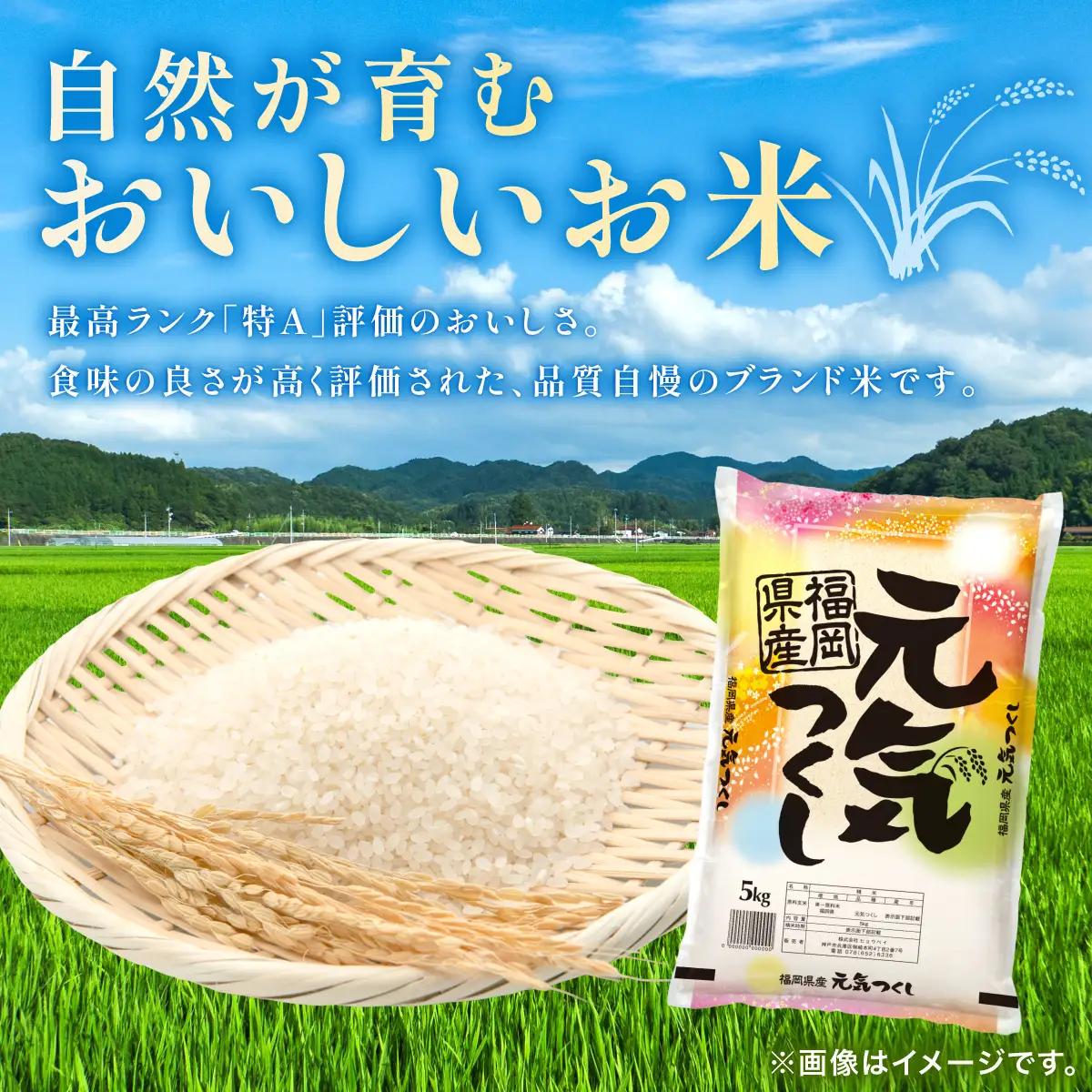 令和7年産 福岡県産元気つくし 15kg