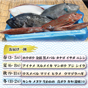 鮮魚便 鮮魚 旬 獲れたて セット 詰め合わせ 魚介類 海の幸 鮮魚 旬の鮮魚 今が旬 福袋 マンボウ 福袋 アジ キンキ 海鮮福袋 福袋