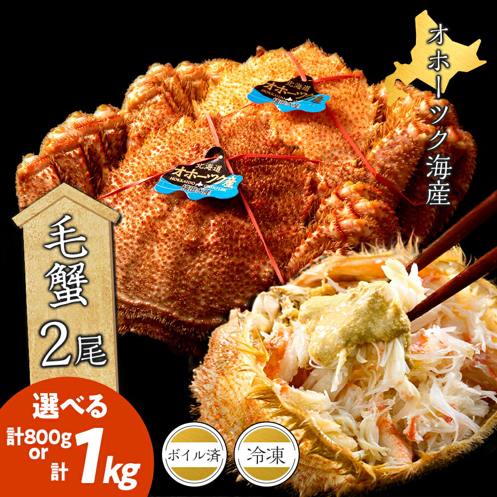 【ふるさと納税】北海道産 毛ガニ 選べる約400g×2尾・約500g×2尾 セット ボイル お取り寄せ 冷凍 おかずおつまみ 北海道ふるさと納税 ふるさと納税 北海道 浜頓別 通販 贈答品 贈り物