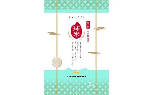 【令和7年度産】人吉球磨産白米 くまさんの輝き 5kg FKP9-679