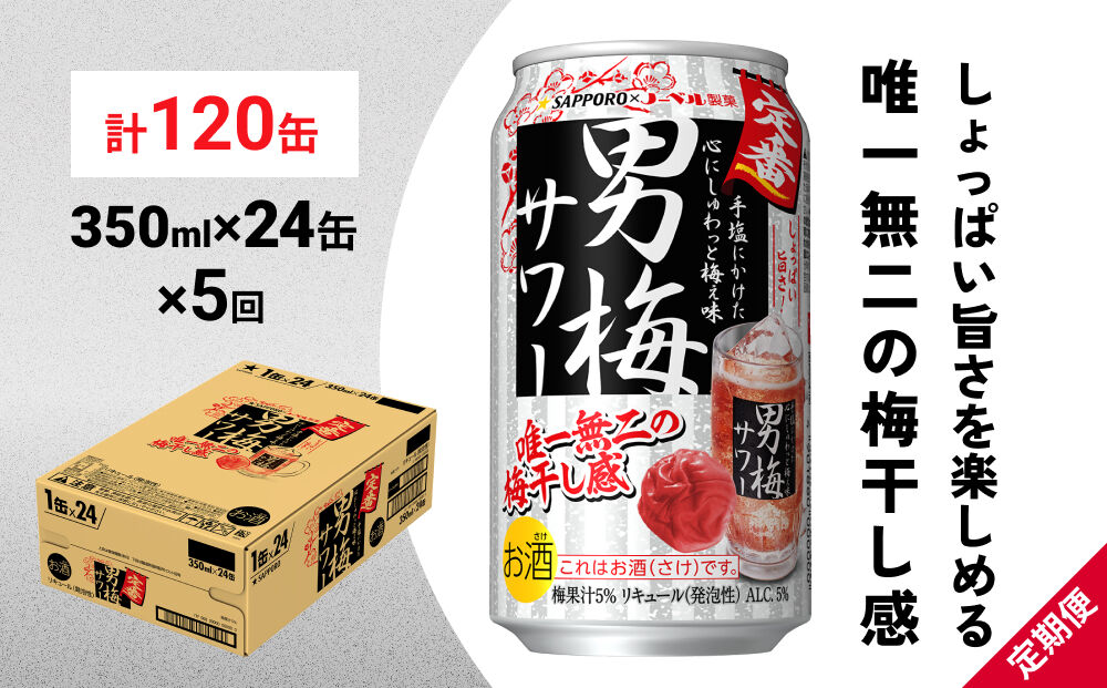 【定期便5ヶ月】サッポロ 男梅サワー 350ml×24缶(1ケース)(合計120缶) 缶 チューハイ 酎ハイ サワー