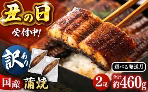 【選べる発送月】訳あり 鹿児島産 うなぎ 蒲焼 2尾セット▼ 国産 うなぎ 鰻 ウナギ 蒲焼 うなぎ 蒲焼 肉厚 うなぎ うなぎ ウナギ 鰻 冷凍 希少 うなぎ ウナギ 人気 ウナギ うなぎ おすすめ ランキング うなぎ おいしい うなぎ かばやき うなぎ 高級 特別 うなぎ ウナギ ひつまぶし うなぎ ウナギ 九州  桂川町/山水商事 [ADAH029]