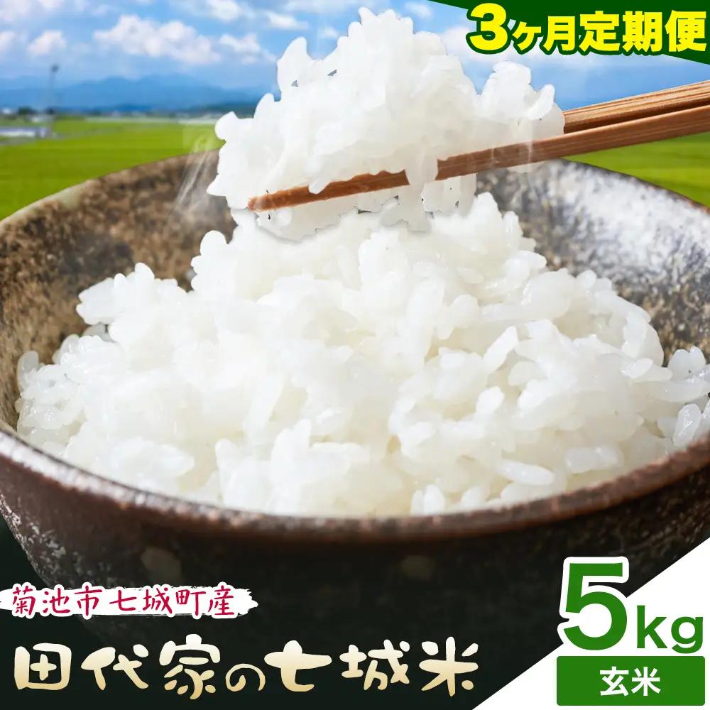 【3ヶ月定期便】令和7年産 菊池市七城町産 田代家の七城米 七城ヒノヒカリ 玄米 5kg 田代こめや《お申し込み月の翌月から出荷開始》熊本県 菊池市 米 お米 精米 ひのひかり 菊池市産 熊本県産 九州産 送料無料